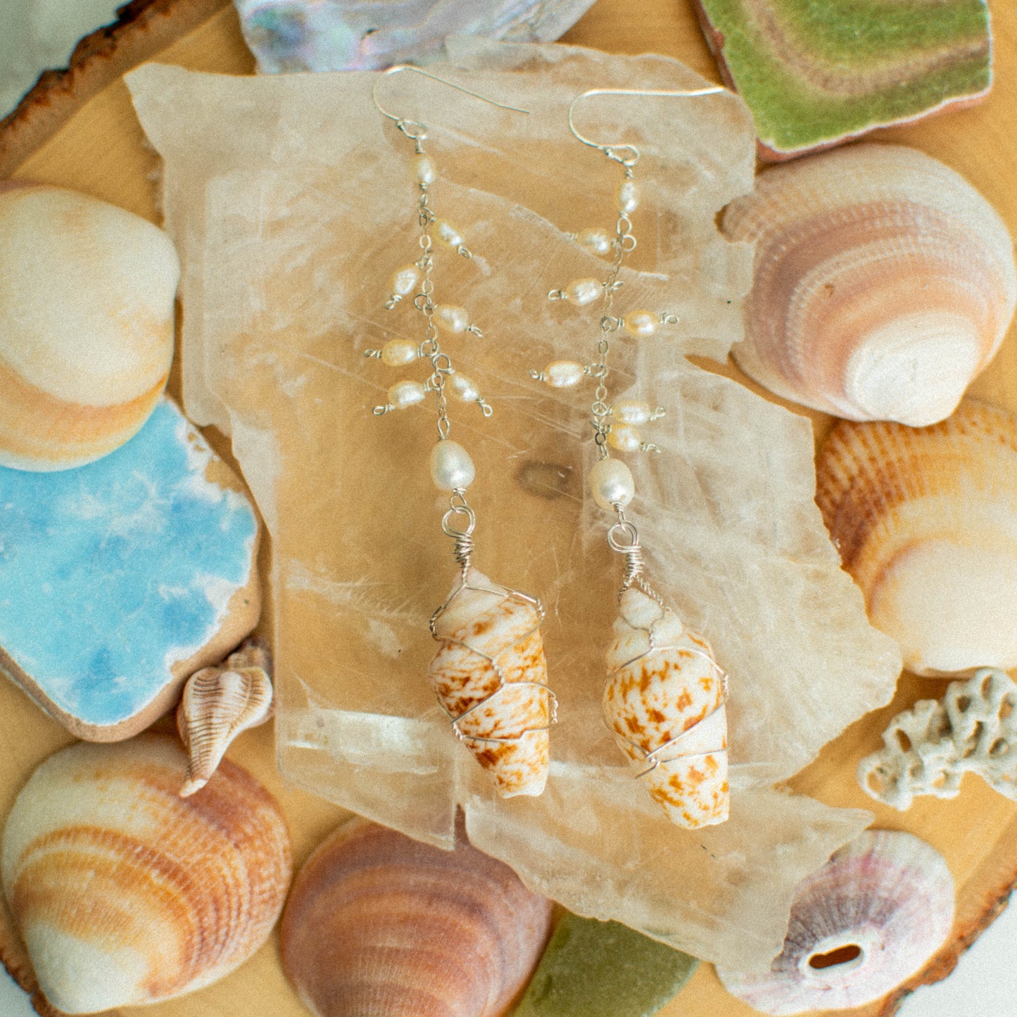 Mediterranean Sea Shell Earrings