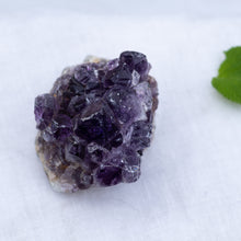 Load image into Gallery viewer, Arkansas Amethyst Cluster A
