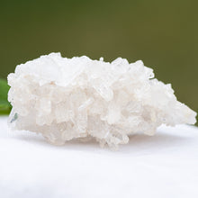 Load image into Gallery viewer, Arkansas Clear Quartz Cluster C
